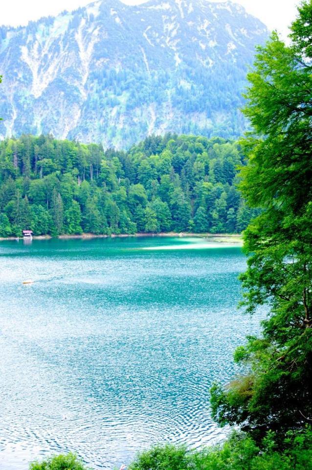 Alphorn Bergnescht * Oberstdorf