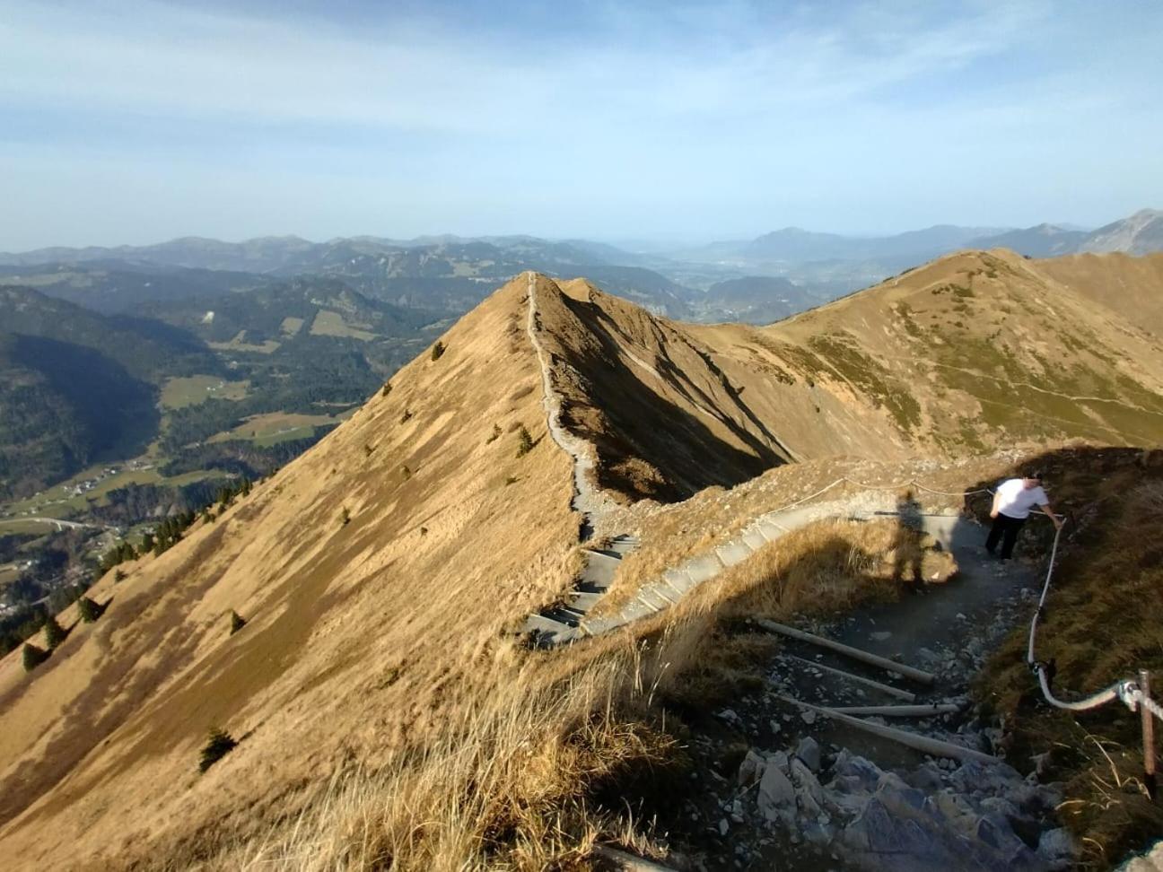 Alphorn Bergnescht *